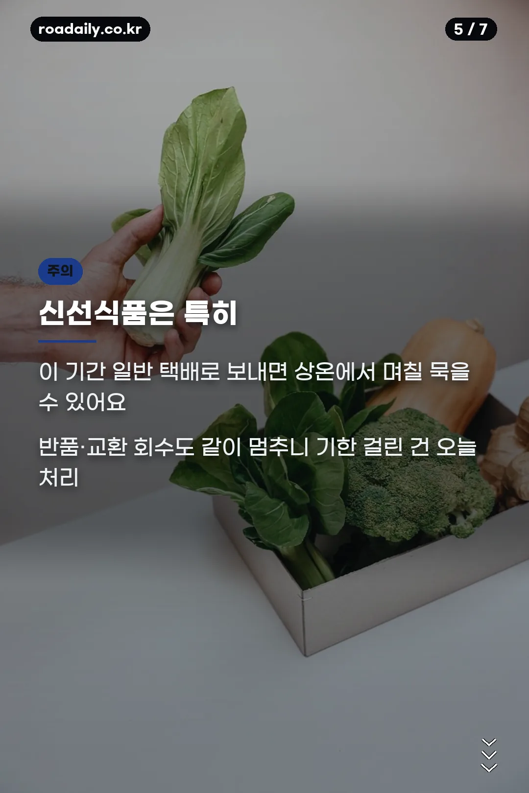 신선식품 반품 주의사항 카드