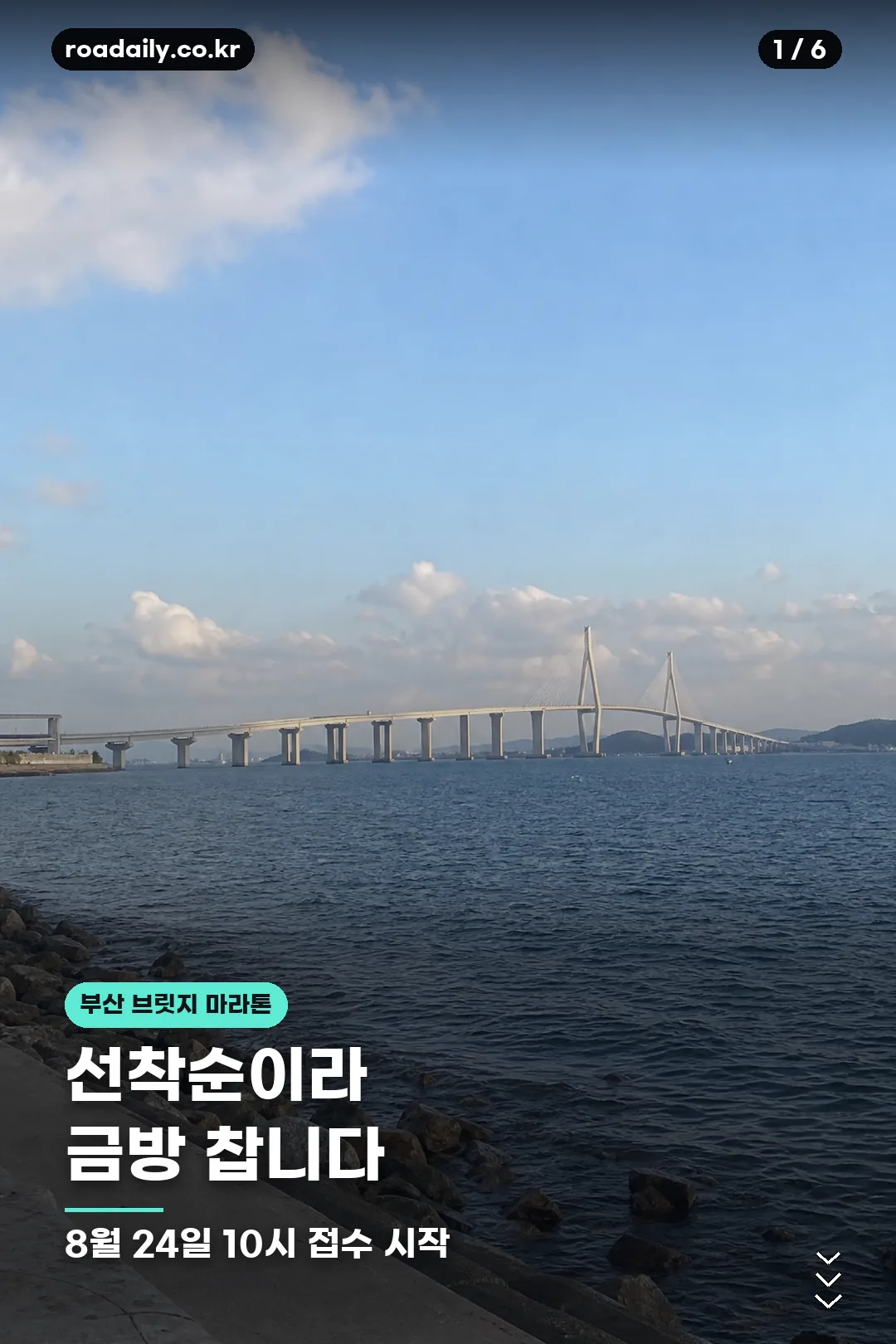 부산 브릿지 마라톤 정리 카드 1