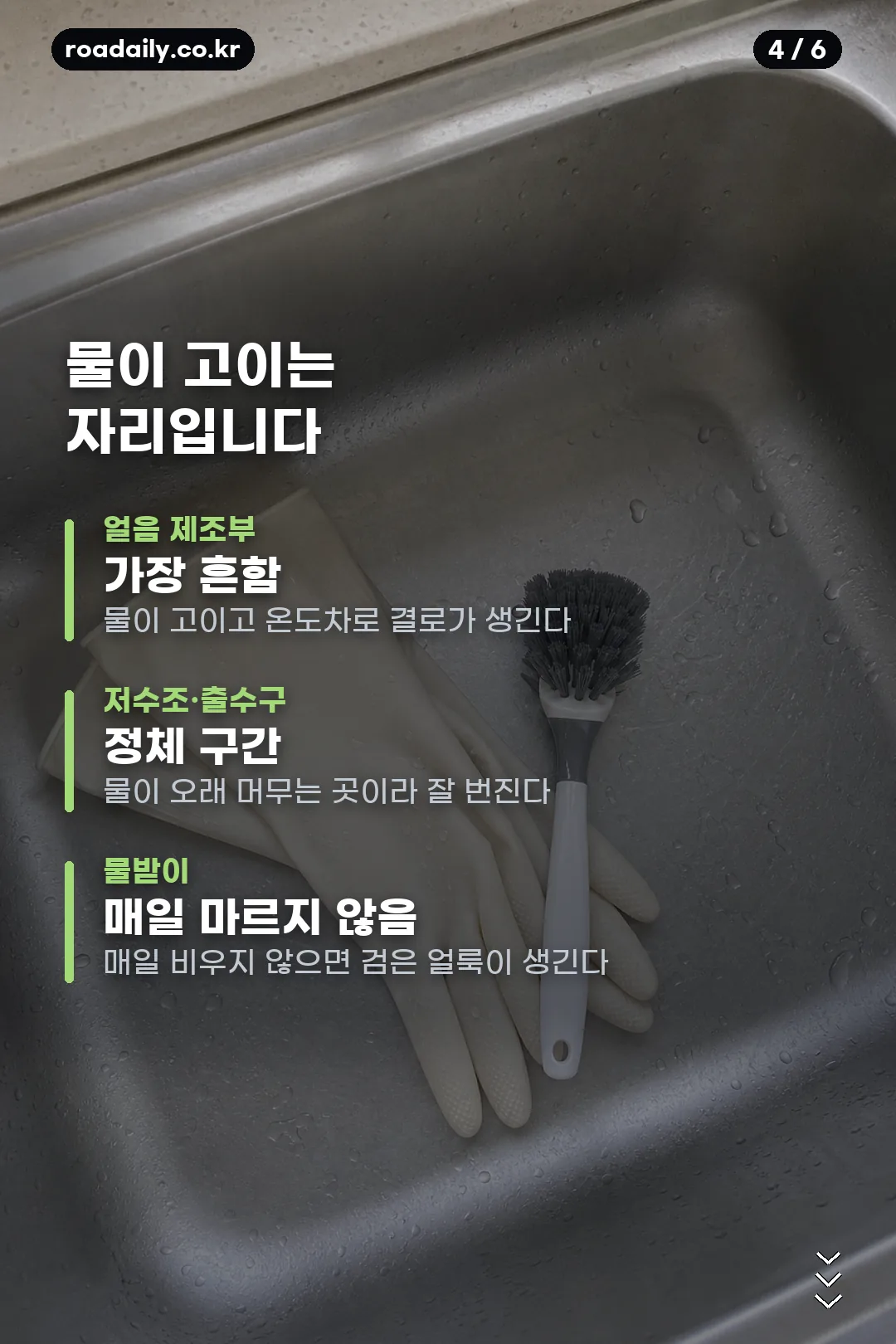 얼음정수기 곰팡이 대응 카드 4