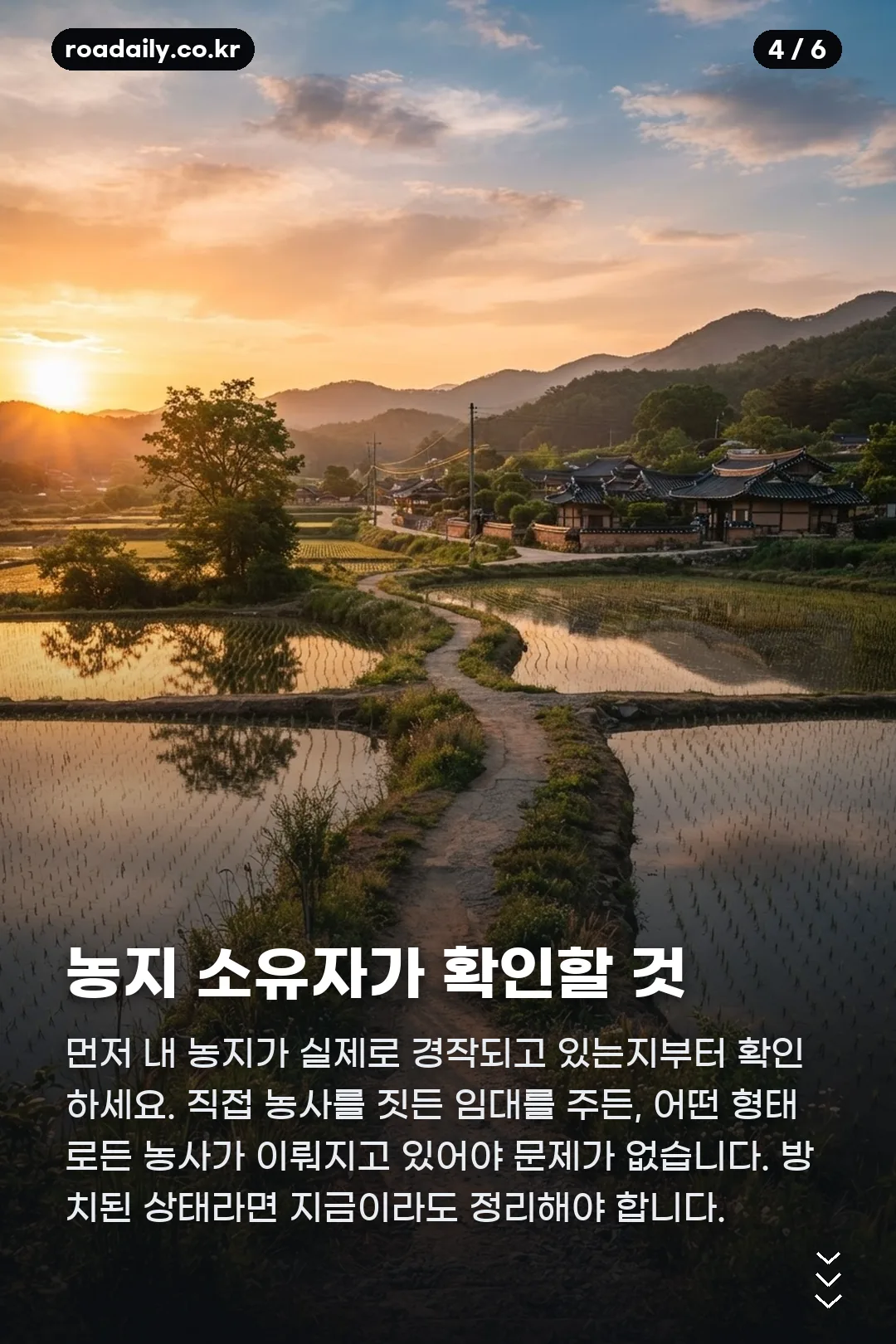농지 전수조사 카드뉴스 4