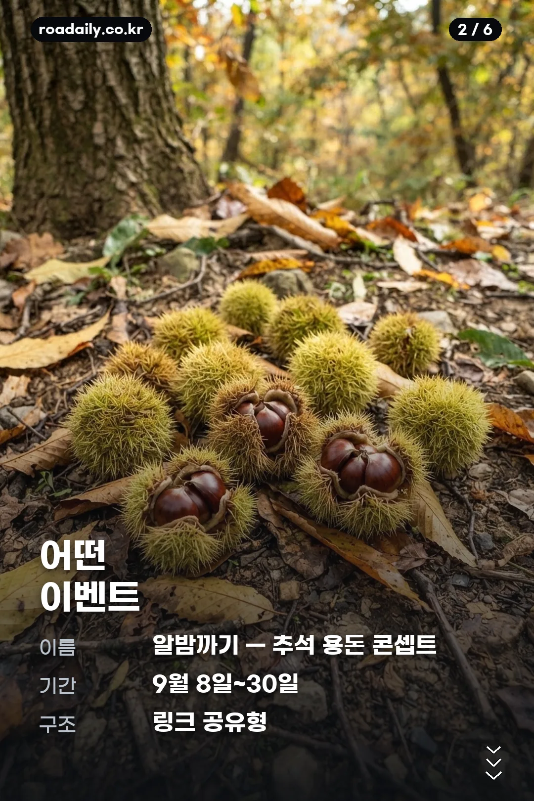 케이뱅크 밤송이 카드뉴스 2