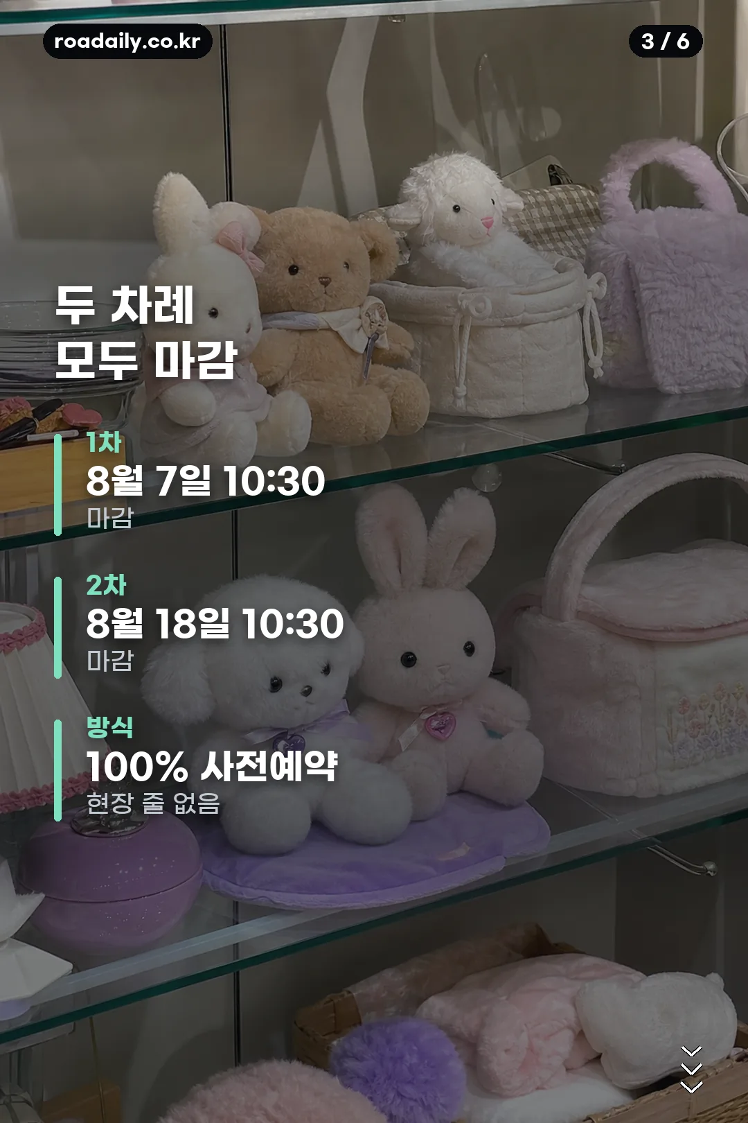 포켓몬 별빛낙원 잠실 행사 안내 카드 3