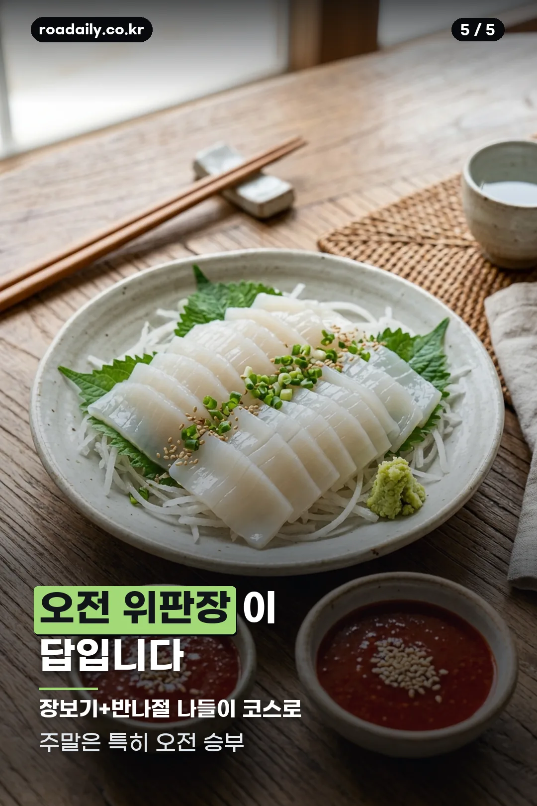 신진항 오징어 시세 안내 카드 5