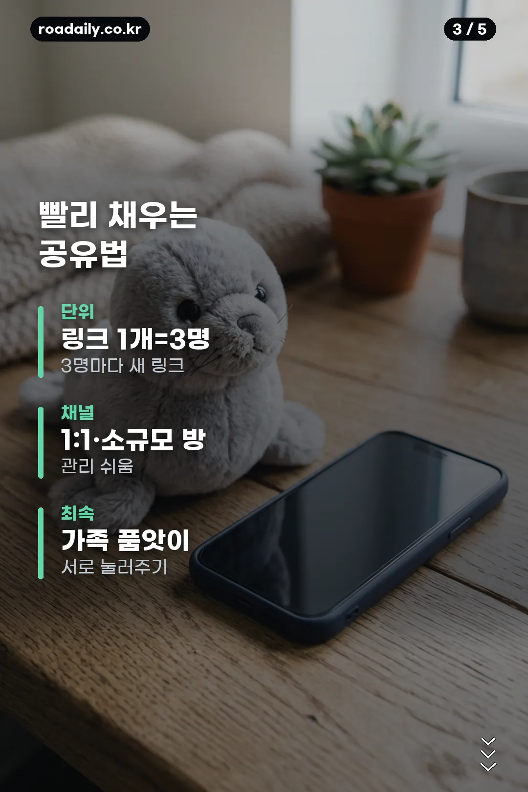 토스 물개 문제 해결 카드 3